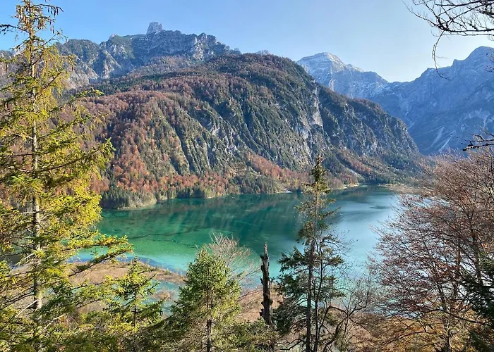 Bergglueck - Gemuetliches Appartement Am Traunsee