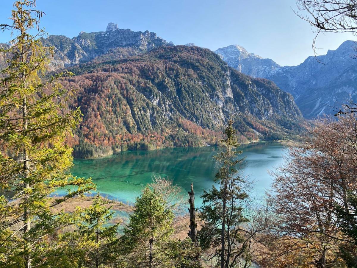 Bergglueck - Gemuetliches Am Traunsee *