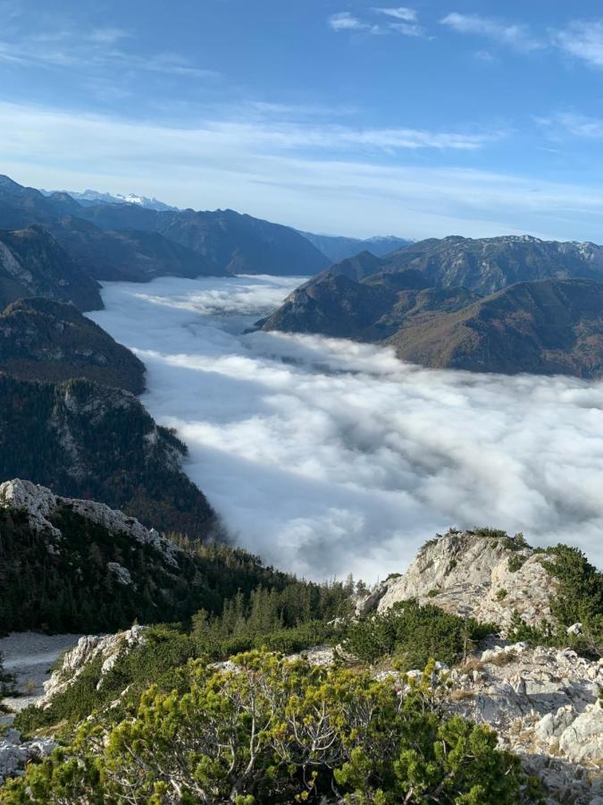 Bergglueck - Gemuetliches Am Traunsee