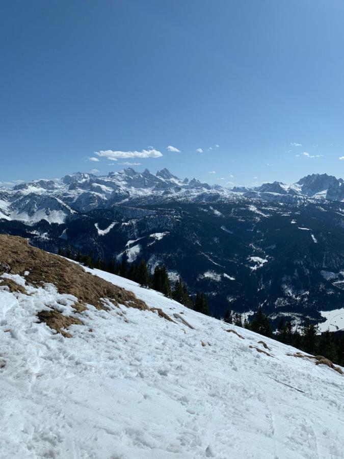 Apartment Bergglück - Gemütliches Am Traunsee